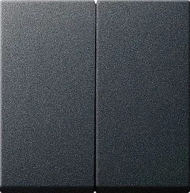 Gira S-55 Антрацит Клавиша 2-ая 029528 029528