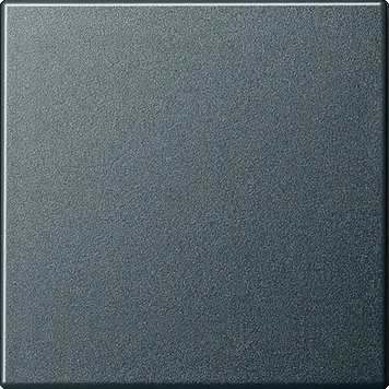 Gira S-55 Антрацит Клавиша 1-ая 029628 029628