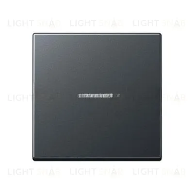 Jung A 500 клавиша одинарная с подсветкой антрацит матовый A590BFKO5ANM A590BFKO5ANM