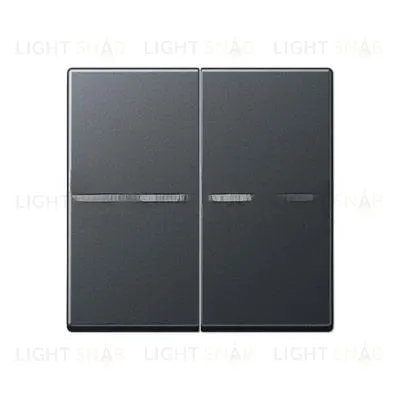 Jung клавиши для сдвоенных выключателей; A595BFKO5ANM A595BFKO5ANM