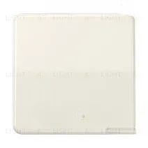 Jung CD 500/CD plus клавиша для выключателя и кнопки; слоновая кость CD590 CD590