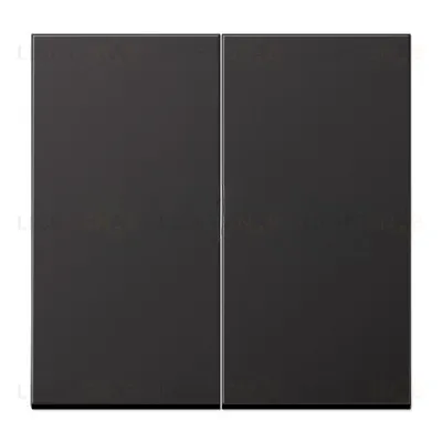 JUNG EcoProfi Standart Черный матовый Клавиша 2-ая EP495SWM EP495SWM