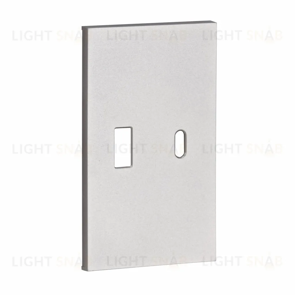 Meiton USB+type с накладкой 2-ух модульная цвет-серый матовый AS12C AS12C