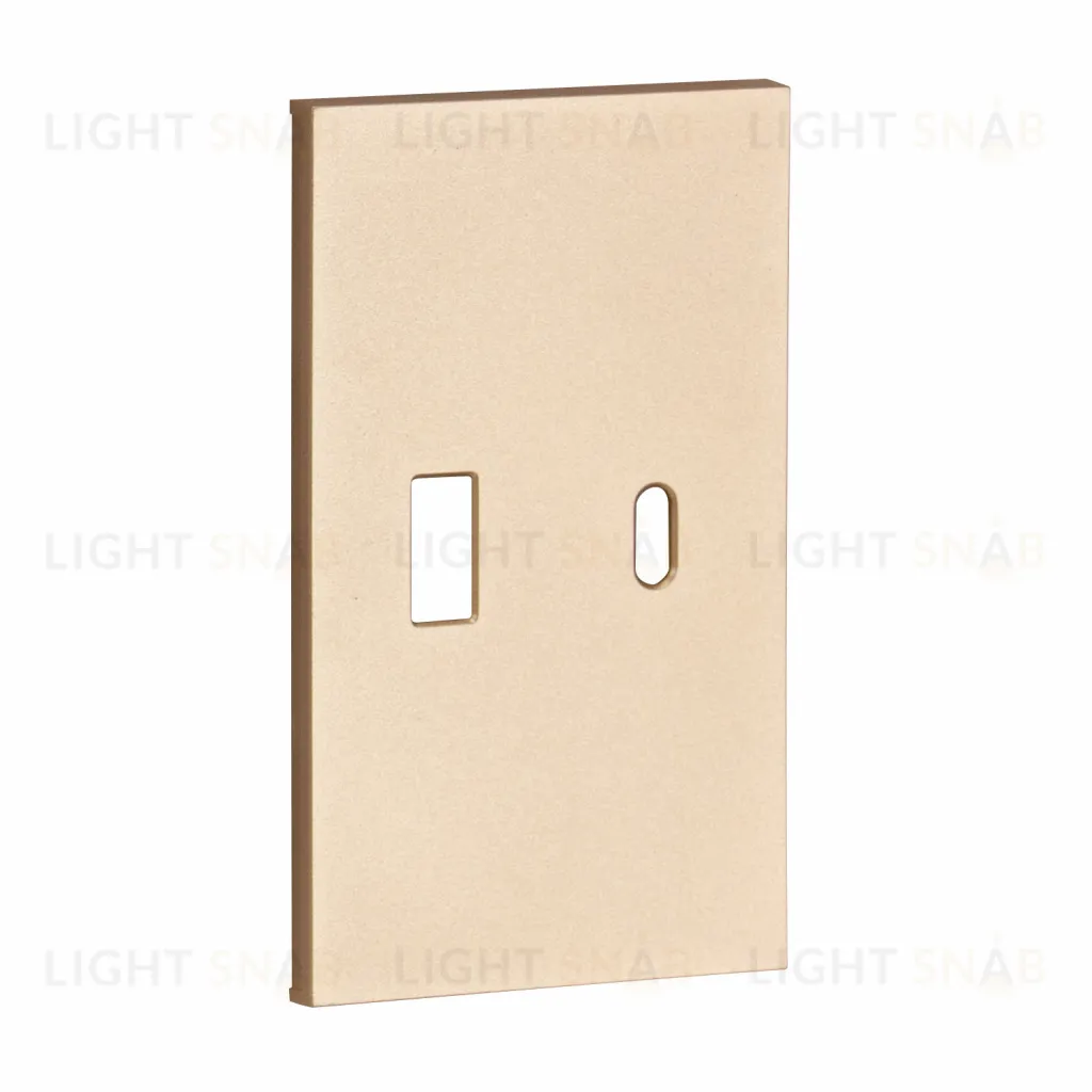 Meiton USB+type с накладкой 2-ух модульная цвет-шампань матовый ACH12C ACH12C