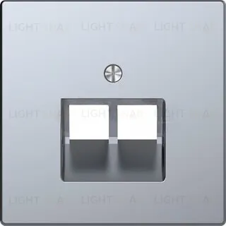 Лицевая панель двойная для розеток разъемом RJ45 Merten D-life нержавеющая сталь MTN4522-6036 MTN4522-6036