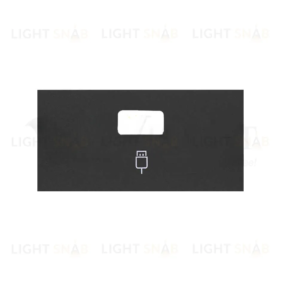 Simon 100 Черный матовый Накладка розетки USB 10001091-238 10001091-238