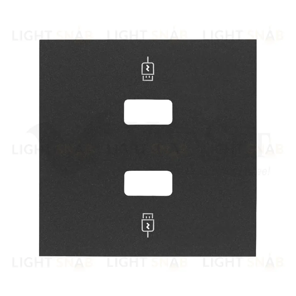 Simon 100 Черный матовый Накладка для зарядного устройства 2хUSB 10001096-238 10001096-238