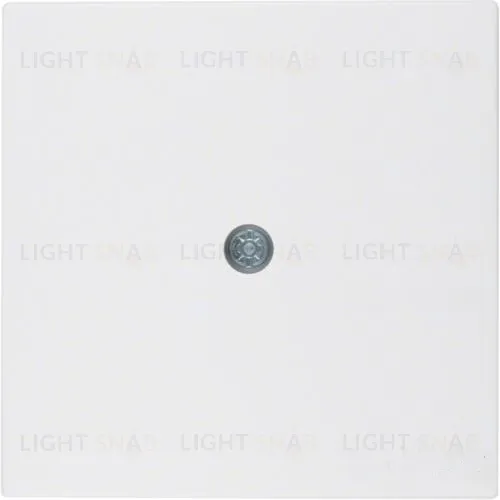 Центральная панель для кабельного вывода, S.1/B.3/B.7, цвет: полярная белизна, матовый 10191909 10191909