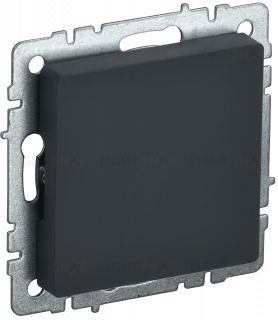 Заглушка IEK Brite, графит BR-PL10-K53 BR-PL10-K53