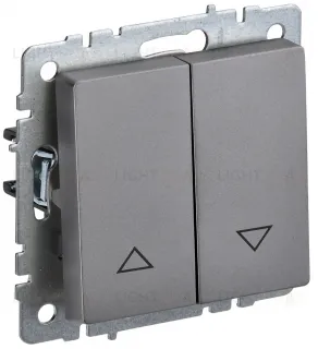 Выключатель двухклавишный самовозвратный управления жалюзи IEK Brite, сталь BR-V15-0-10-K46 BR-V15-0-10-K46