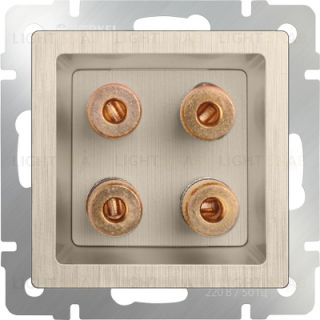Акустическая розетка Werkel х4, шампань рифленый a051421 a051421