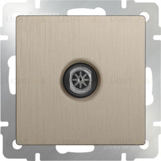 ТВ-розетка оконечная Werkel шампань рифленый a051427 a051427