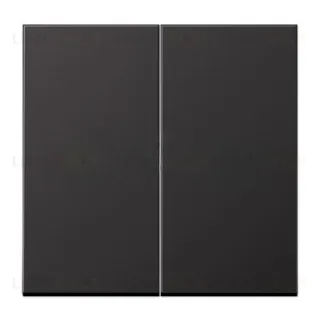 Выключатель двухклавишный Jung Eco Profi, 10А/250В черный матовый EP495SWM+EP405U EP495SWM + EP405U