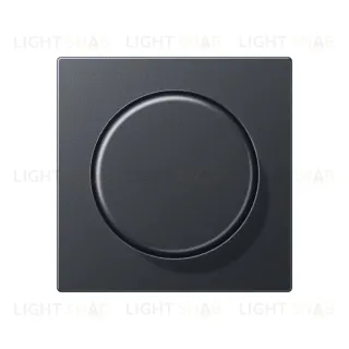 Светорегулятор поворотно-нажимной Jung 100-1000 Вт. для ламп накаливания и галог. 211GDE+EP1540BFAN 211GDE + EP1540BFAN