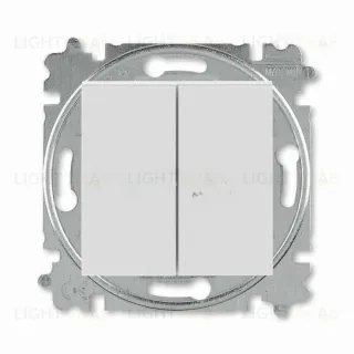 Выключатель двухклавишный ABB Levit, 10 А, серый-белый 2CHH590545A6016 2CHH590545A6016