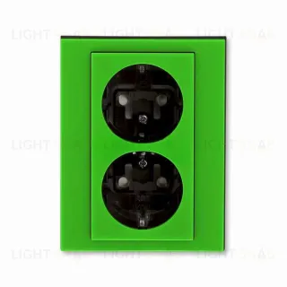 Розетка двойная с рамкой с заземлением и шторками ABB Levit, зеленый-дымчатый чёрный 2CHH223457C6067 2CHH223457C6067