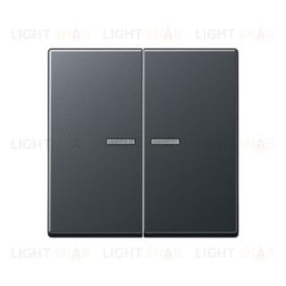 Выключатель двухклавишный с подсветкой Jung, 10А/250В 505u5+A595BFKO5ANM 505u5 + A595BFKO5ANM