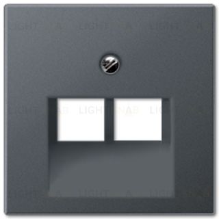 Розетка компьютерная двойная Jung RJ45 6-й кат. epuae8-8upok6+A569-2BFPLUAANM epuae8-8upok6 + A569-2BFPLUAANM