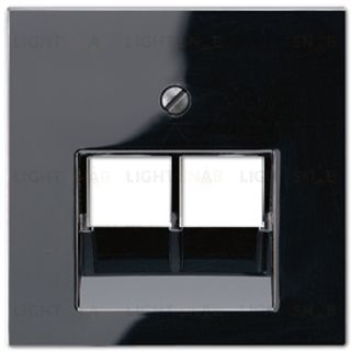 Розетка компьютерная двойная Jung RJ45 6-й кат. epuae8-8upok6+A569-2BFPLUASW epuae8-8upok6 + A569-2BFPLUASW