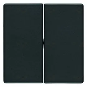 Выключатель двухклавишный проходной Berker (вкл/выкл с 2-х мест) 10А/250В, антрацит 16236086+303808 16236086 + 303808