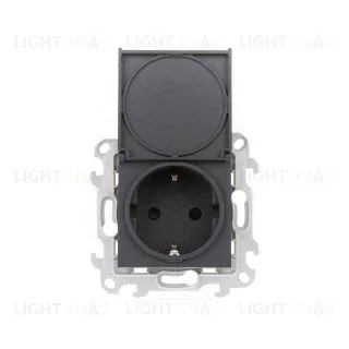 Розетка с заземлением с откидной крышкой и шторками IP44 Simon 24 16А/250В, графит 2450448-038 2450448-038