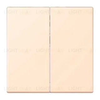 Кнопочный переключатель 2 клавишный Jung LS 990 Les Couleurs Le Corbusier terre sienne pale 509TU+LC99532123 509TU + LC99532123