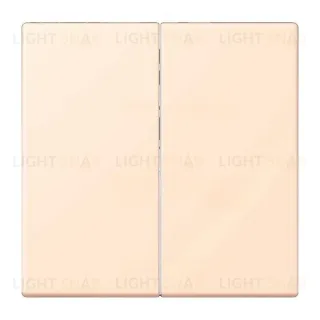 Переключатель 2 клавишный Jung LS 990 Les Couleurs Le Corbusier terre sienne pale 509u+LC99532123 509u + LC99532123