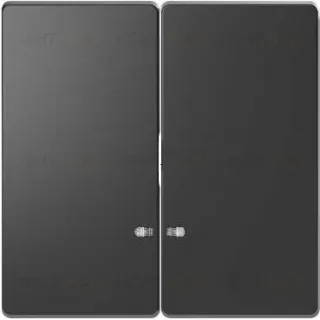 Выключатель двухклавишный с подсветкой Merten D-life 10А/250В, антрацит MTN3135-0000+MTN3420-6034 MTN3135-0000 + MTN3420-6034