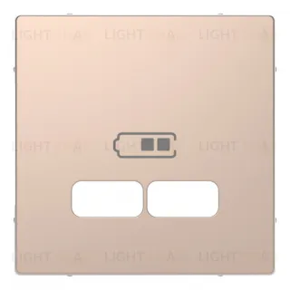 Розетка USB двойная для зарядки Merten D-life, шампань металл MTN4366-0100+MTN4367-6051 MTN4366-0100 + MTN4367-6051