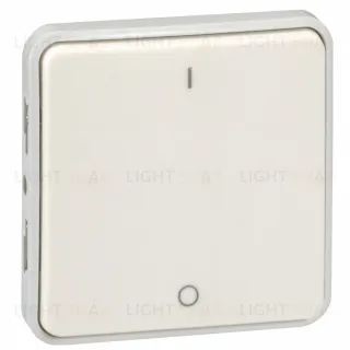 Двухполюсный выключатель Legrand Plexo 10А IP55, белый 69627 69627
