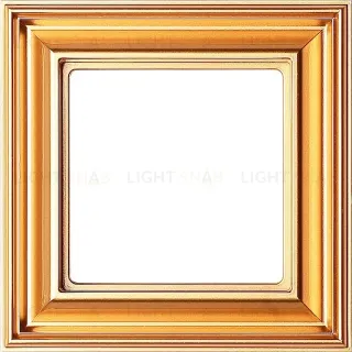 Рамка одинарная Jung Eco Profi Deco, золото EPD481GO EPD481GO