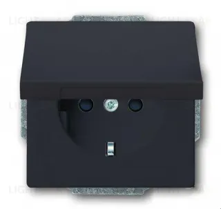 Розетка электрическая с крышкой ABB Dynasty (антрацит) 2CKA002018A1486 2CKA002018A1486