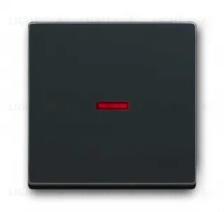 Переключатель одноклавишный с подсветкой ABB Dynasty (антрацит) 2CKA001012A2194+2CKA001751A2928 2CKA001012A2194 + 2CKA001751A2928