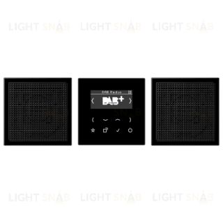 Смарт радио JUNG DAB+стерео, черный глянцевый DABLS2SW DABLS2SW