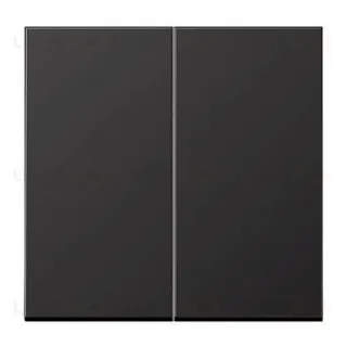 Выключатель двухклавишный Jung, 10А/250В алюминий темный 505u+AL2995D 505u + AL2995D