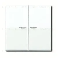 Выключатель двухклавишный с подсветкой Jung, 10А/250В 505u5+AS591-5KO5WW 505u5 + AS591-5KO5WW