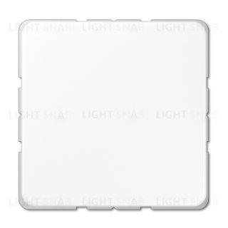 Заглушка с опорной пластиной Jung CD 500 CD594-0WW CD594-0WW