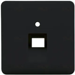 Розетка телефонная одинарная Jung RJ11 EPUAE8UPO+CD569-1UASW EPUAE8UPO + CD569-1UASW