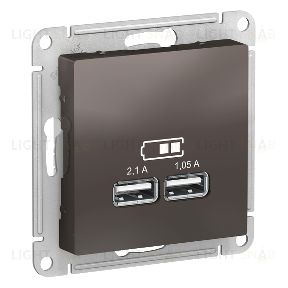 Розетка USB двойная для зарядки System Electric ArtGallery 2,1А, мокко GAL000608+ATN000633 GAL000608 + ATN000633