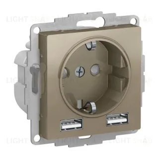 Розетка с заземлением и с 2 USB A+A, 2х5В/1,2А, System Electric ArtGallery 16А, шампань GAL000508+ATN000530 GAL000508 + ATN000530