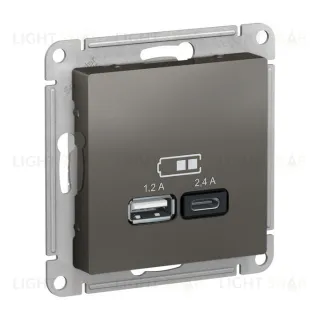 Розетка двойная USB тип A+С, 5В/2,4А, 2х5В/1,2А, System Electric ArtGallery 16А, сталь GAL000908+ATN000939 GAL000908 + ATN000939