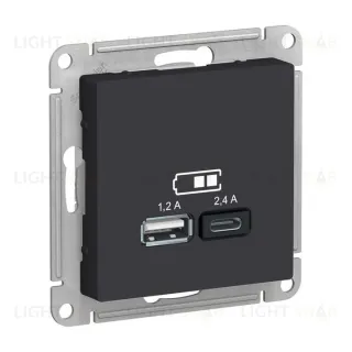 Розетка двойная USB тип A+С, 5В/2,4А, 2х5В/1,2А, System Electric ArtGallery 16А, карбон GAL001008+ATN001039 GAL001008 + ATN001039