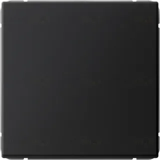 Выключатель одноклавишный кнопочный System Electric ArtGallery 10А, карбон GAL001015S GAL001015S