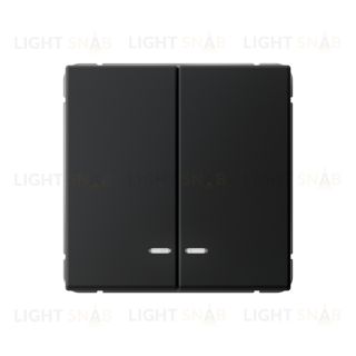 Выключатель двухклавишный с подсветкой System Electric ArtGallery 10А, карбон GAL001053 GAL001053