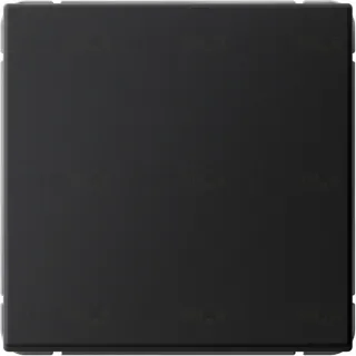 Выключатель одноклавишный System Electric ArtGallery 10А, карбон GAL001011S GAL001011S