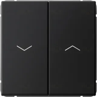 Выключатель управления для жалюзи и рольставней System Electric ArtGallery 10А/250В, карбон GAL001019S GAL001019S