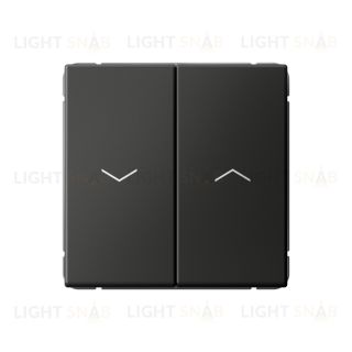 Выключатель управления для жалюзи и рольставней System Electric ArtGallery 10А/250В, базальт GAL001419 GAL001419