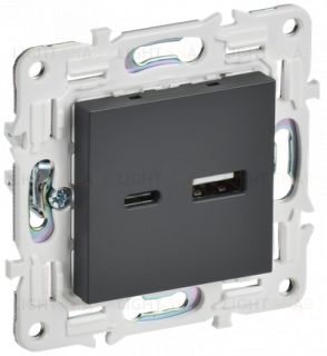 Розетка USB двойная A+C 3,1А IEK Skandy титан SK-U22-D31-K48 SK-U22-D31-K48