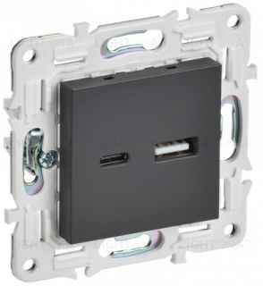 Розетка USB двойная A+C 18Вт IEK Skandy титан SK-U22-018-K48 SK-U22-018-K48