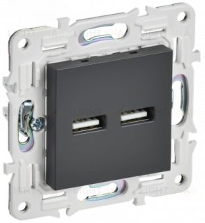 Розетка USB двойная A+A 3,1А IEK Skandy титан SK-U21-D31-K48 SK-U21-D31-K48